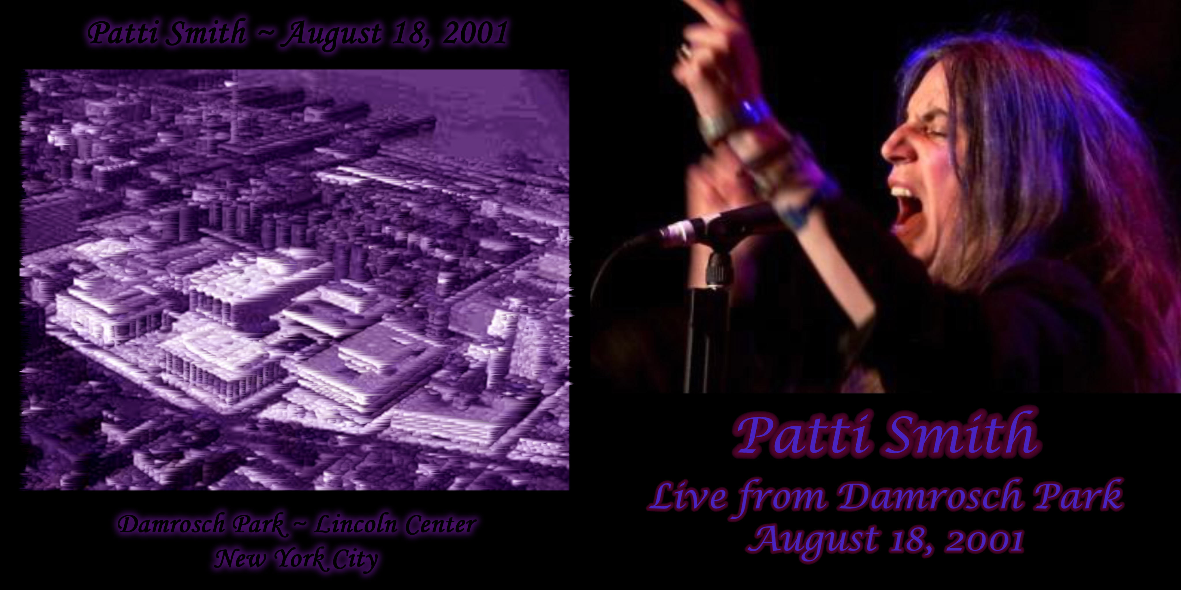 PattiSmith2001-08-18DamroschParkNYC (1).jpg